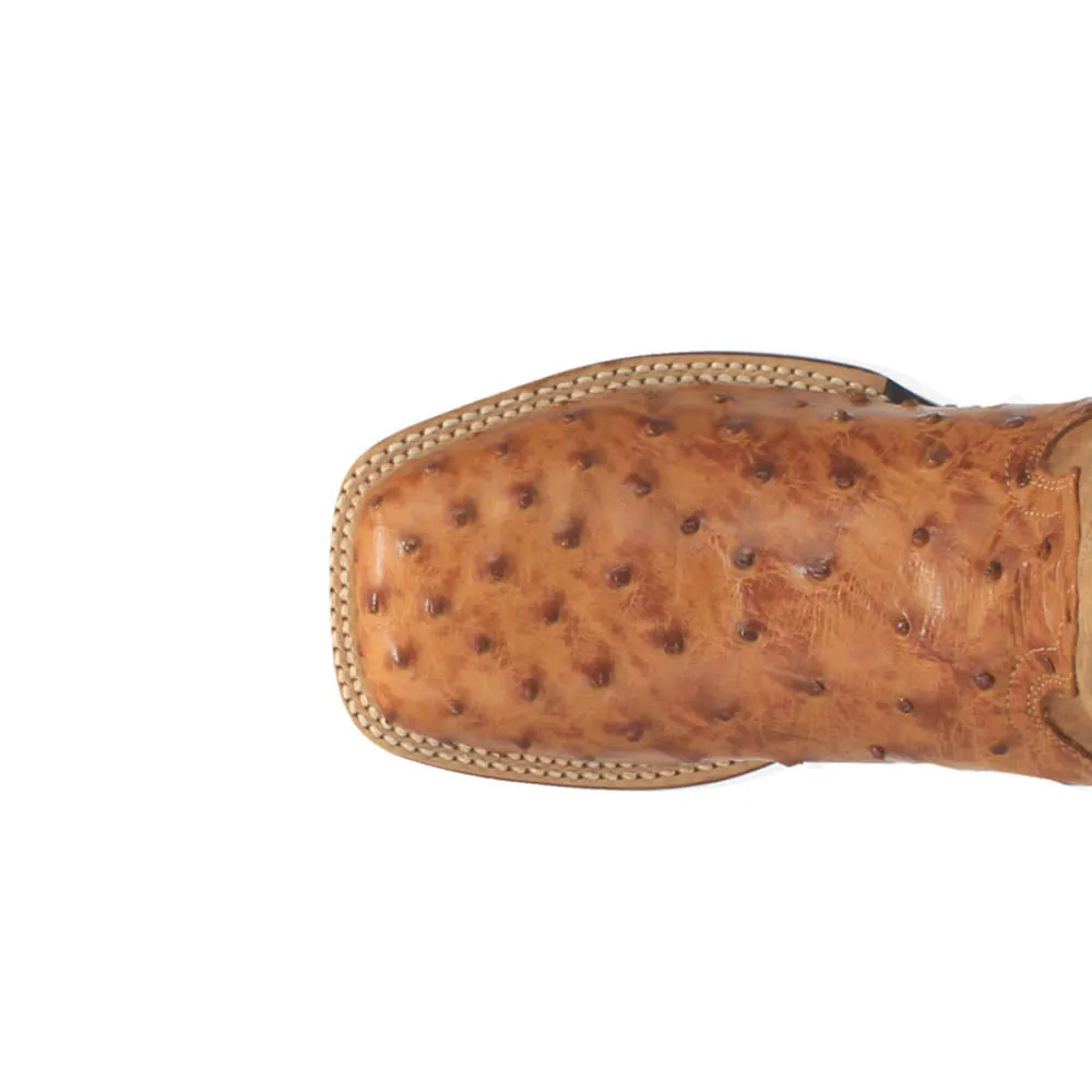 Alamosa Embroidered Ostrich Square Toe Pull On Cowboy Boots