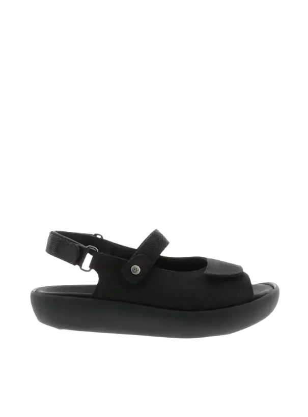 Ania Black