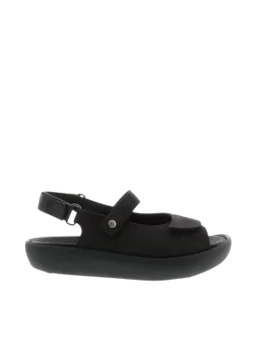 Ania Black