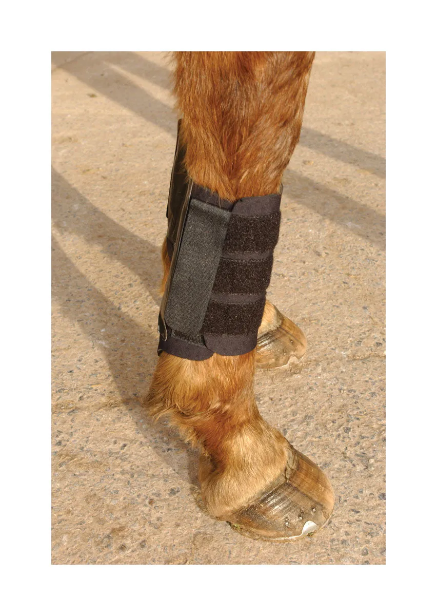 KITT Kool Brushing Boot