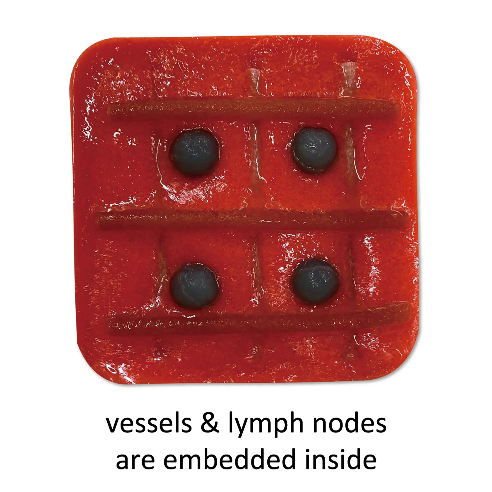 Thermochromic Model (VTT-RBC)