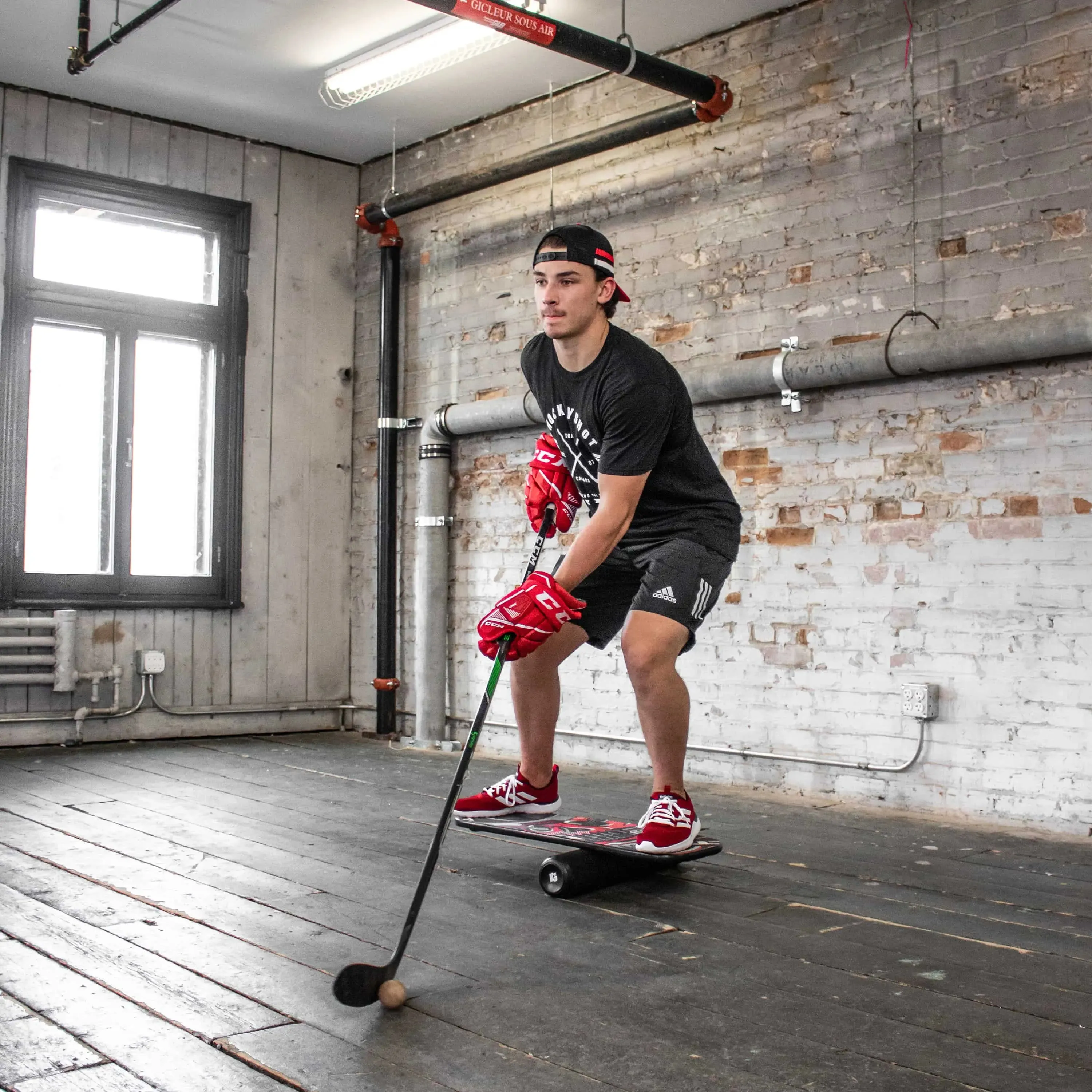 Training Balance Board